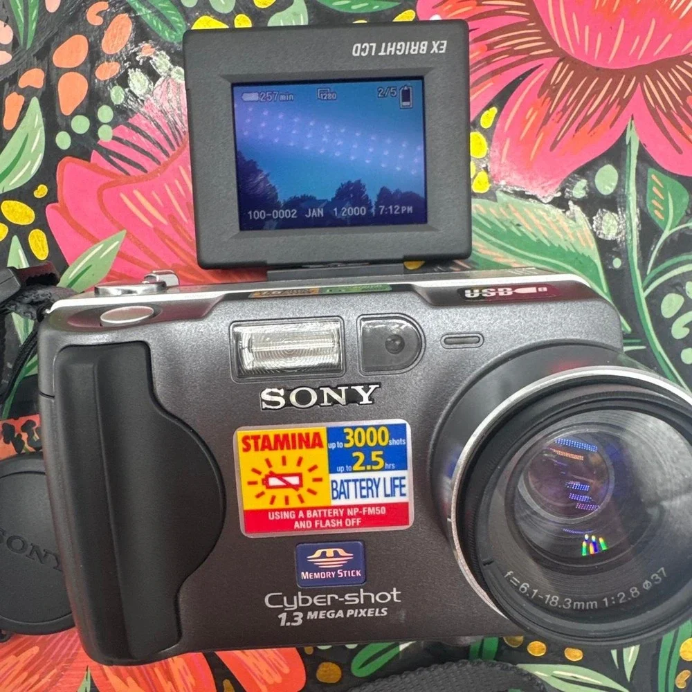 Sony Cyber-shot DSC-S30‎ Digital Camera – Compact Point-and-Shoot Camera